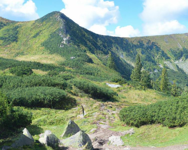 Najlepsza restauracja Jelenia Góra: Smaki Karkonoszy