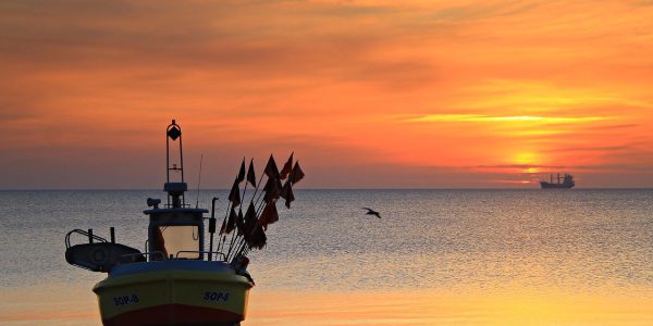 najlepsze restauracje Sopot